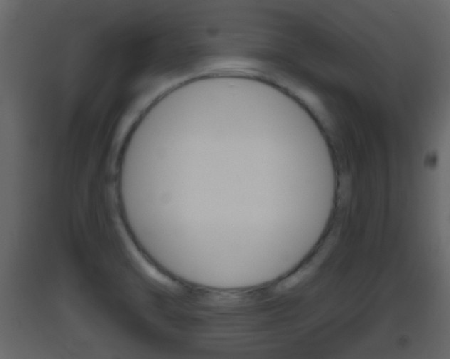 X0000093381470200710111338