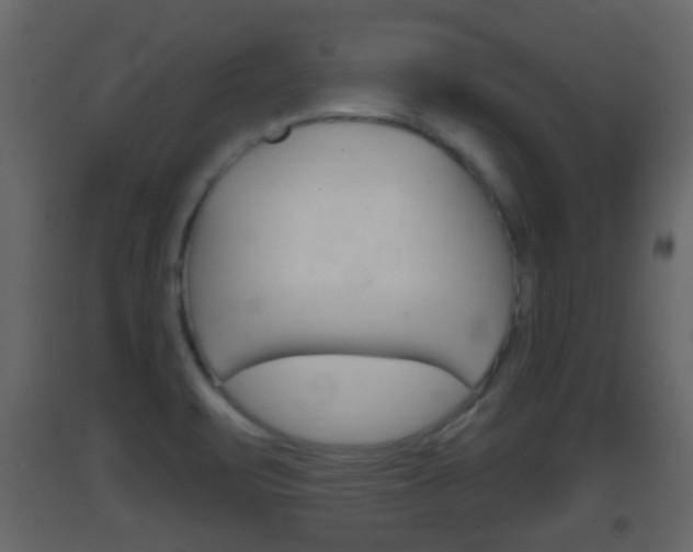 X0000093381471200710111338