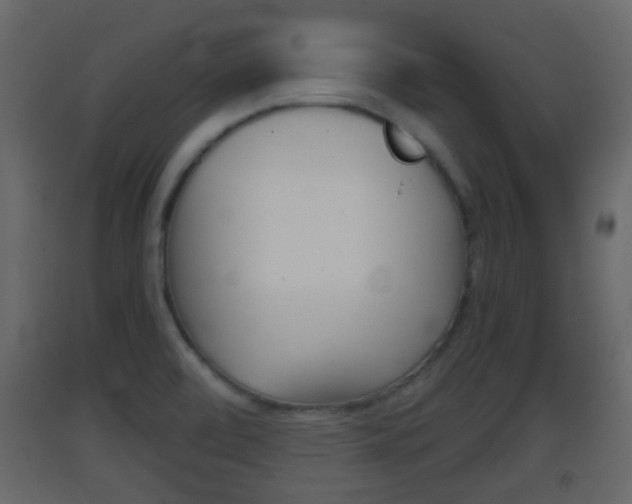 X0000093381472200710111337