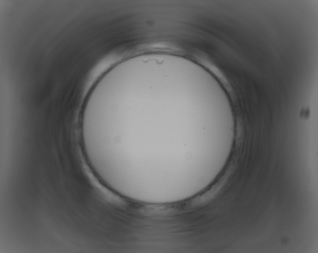 X0000093381474200710111337