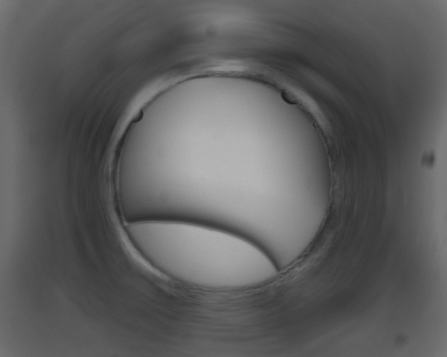 X0000093381475200710111337