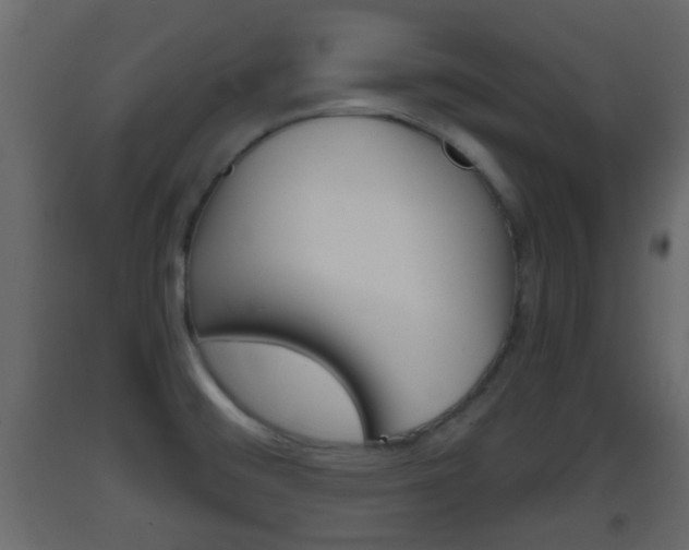X0000093381476200710111337