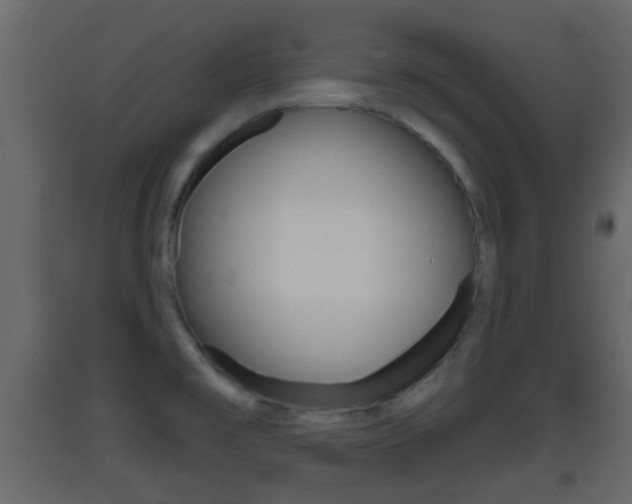 X0000093381477200710111337