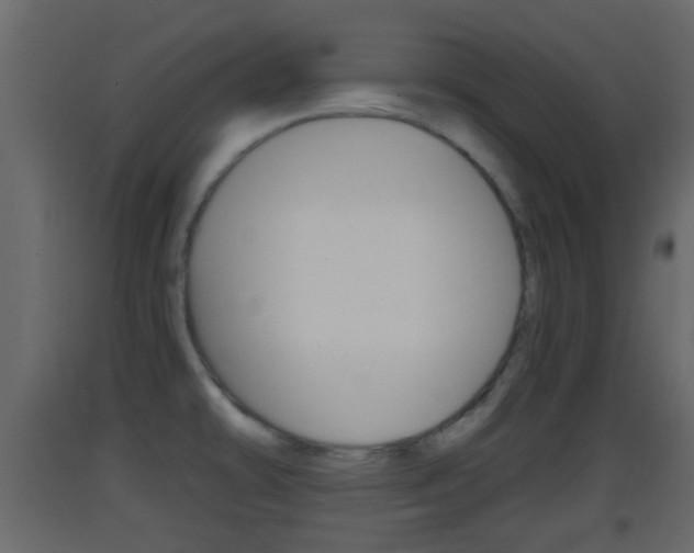 X0000093381478200710111337