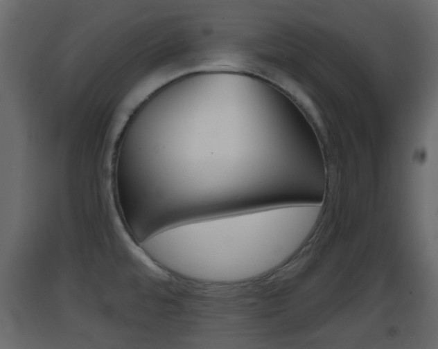 X0000093381480200710111337