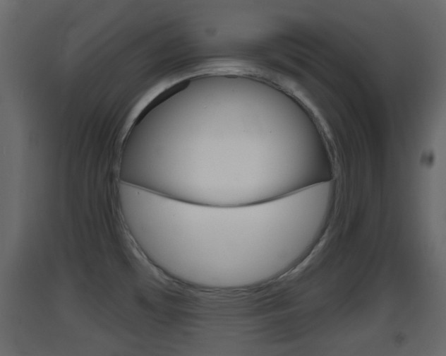 X0000093381481200710111337