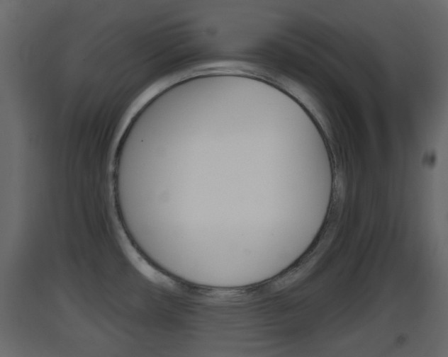 X0000093381482200710111337