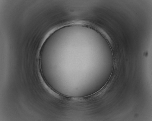 X0000093381483200710111337