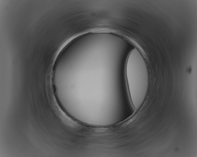 X0000093381484200710111337