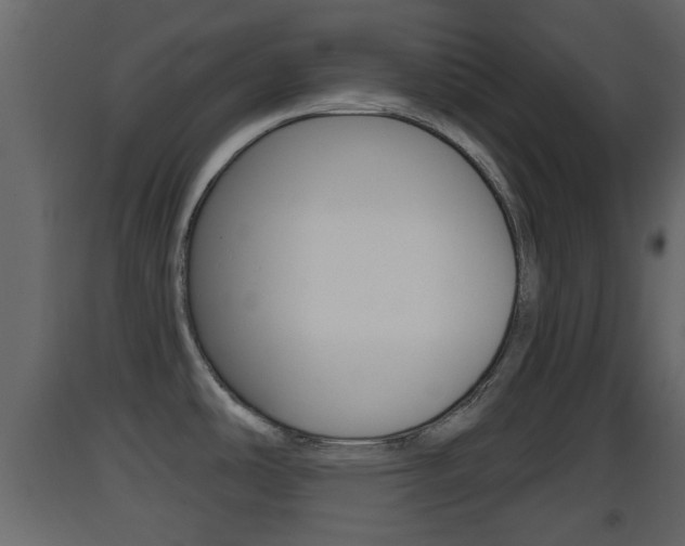 X0000093381486200710111337