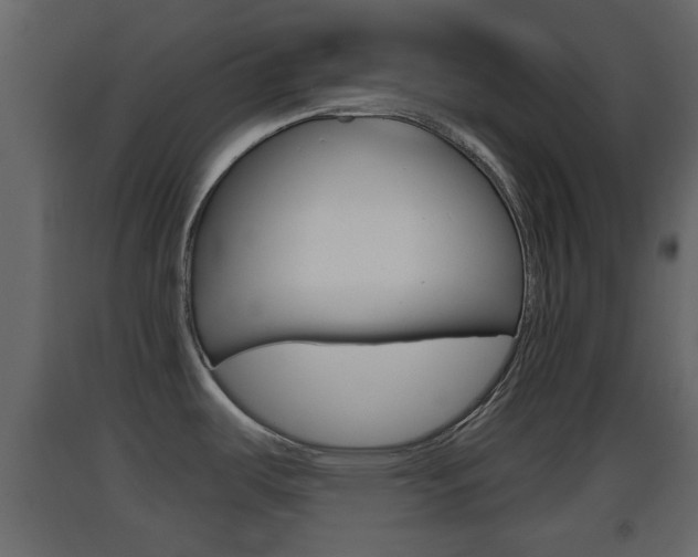X0000093381487200710111337