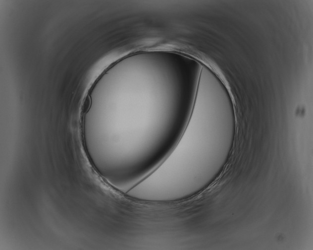 X0000093381488200710111337