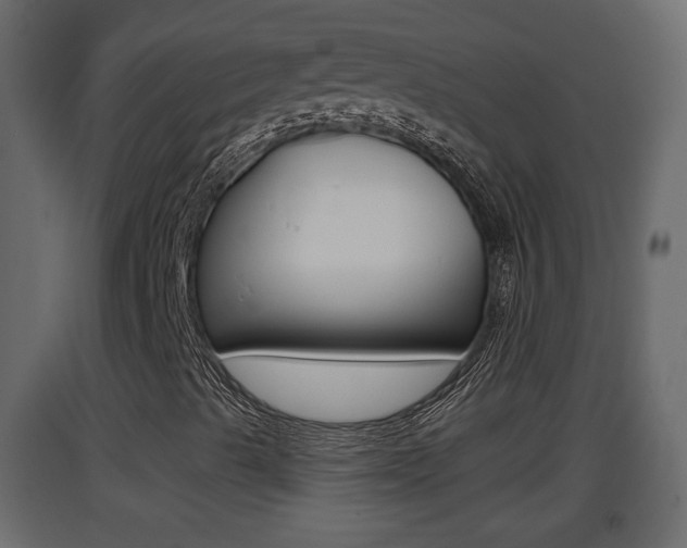 X0000093381489200710111337
