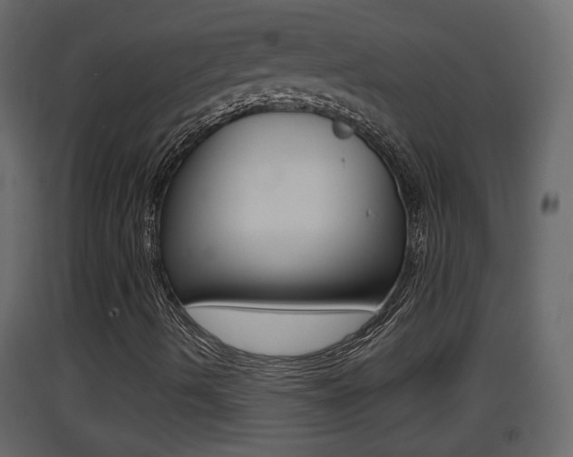 X0000093381490200710111337