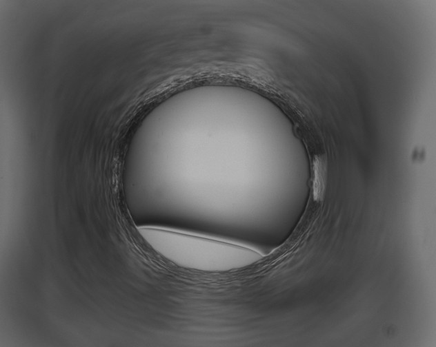 X0000093381491200710111337