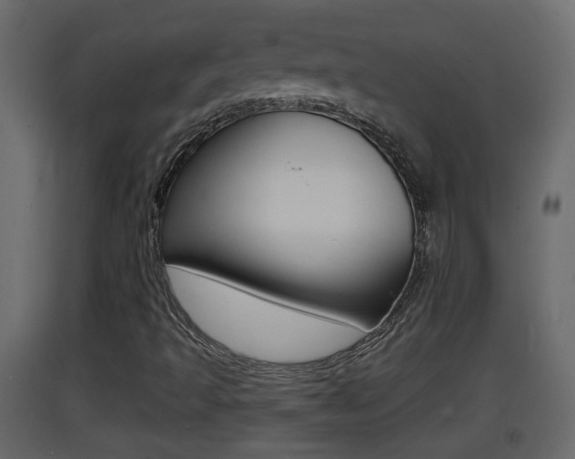 X0000093381493200710111337