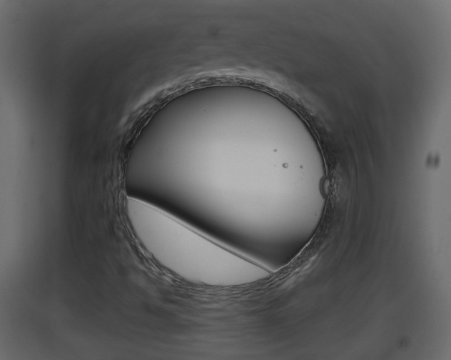X0000093381494200710111337