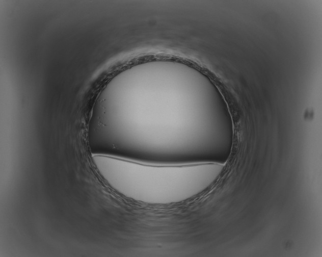 X0000093381495200710111337