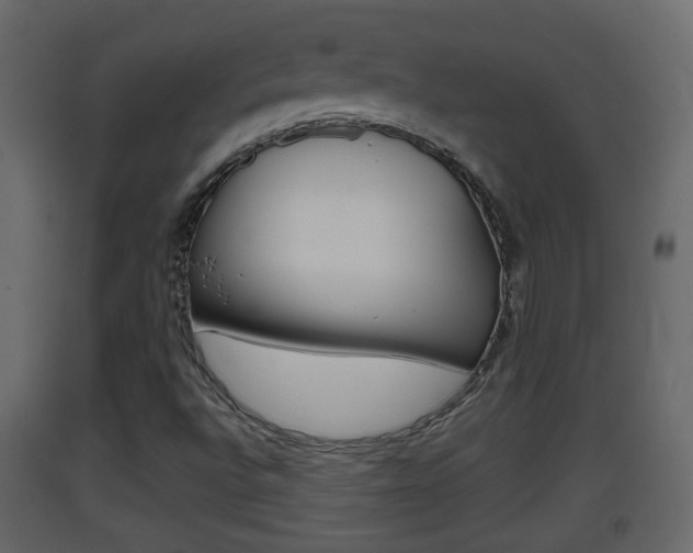 X0000093381496200710111337