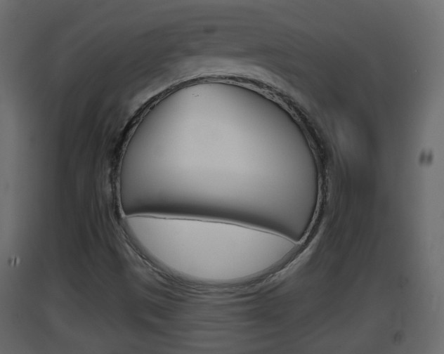 X0000093381497200710111337