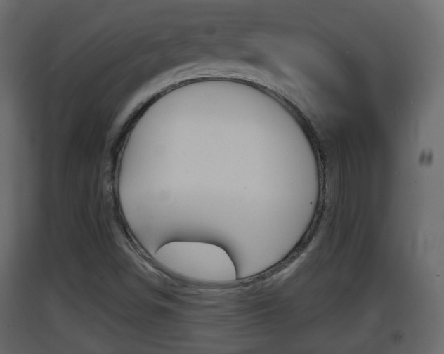 X0000093381498200710111337