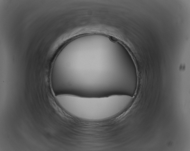 X0000093381499200710111337