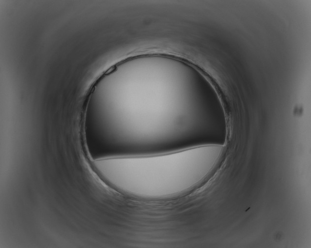 X0000093381500200710111337