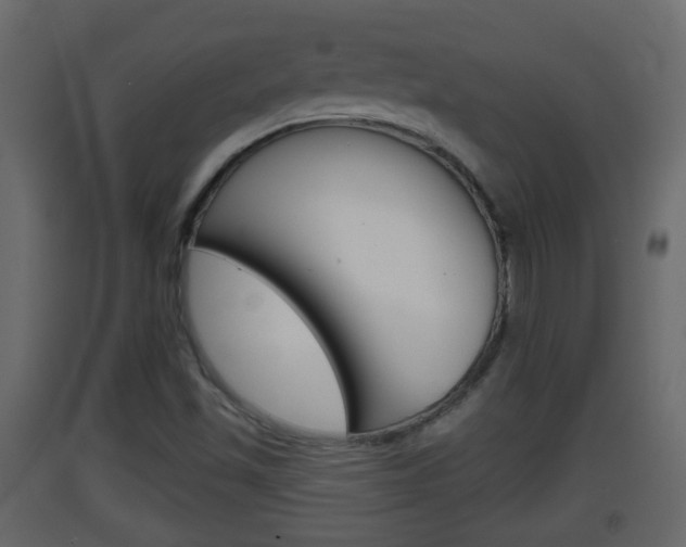 X0000093381501200710111337
