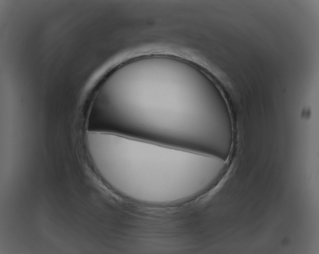 X0000093381502200710111337