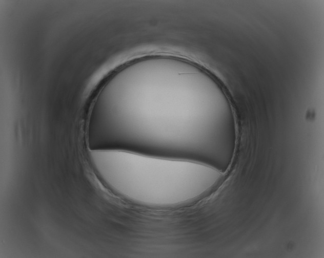X0000093381503200710111337