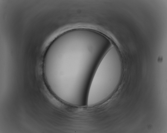 X0000093381504200710111337