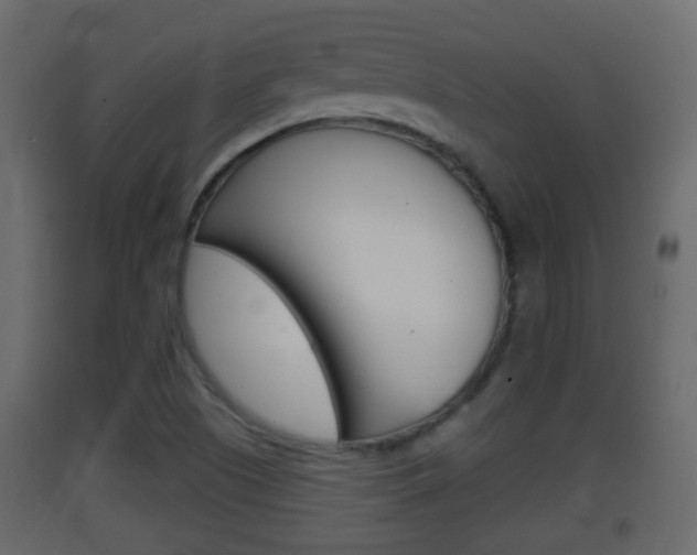 X0000093381505200710111337