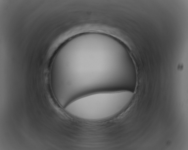 X0000093381507200710111337