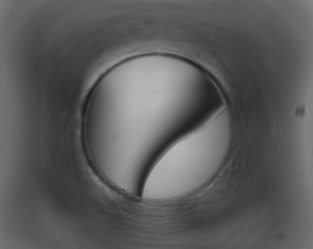 X0000093381508200710111337
