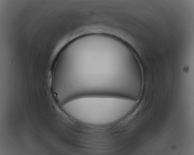 X0000093381509200710111337