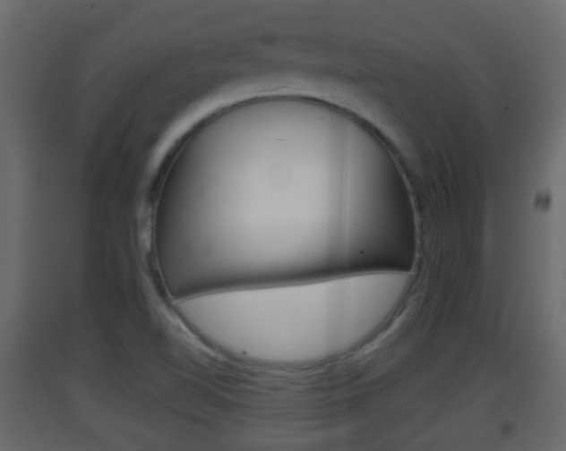 X0000093381510200710111337