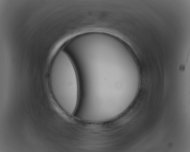 X0000093381511200710111337