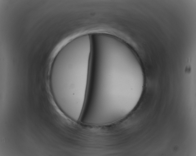 X0000093381512200710111337