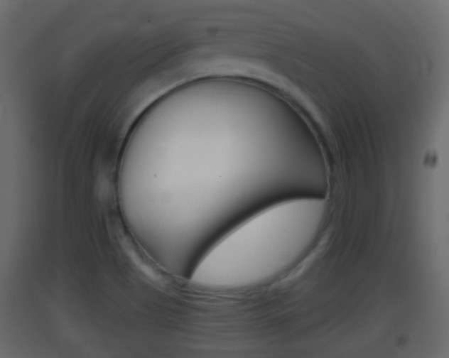 X0000093381513200710111337