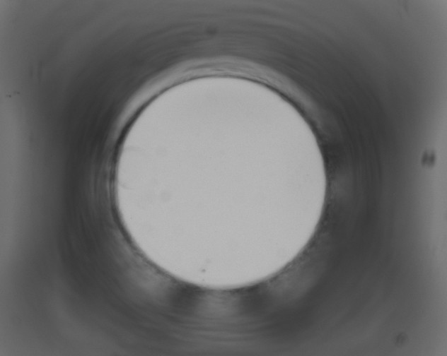 X0000093381514200710111337