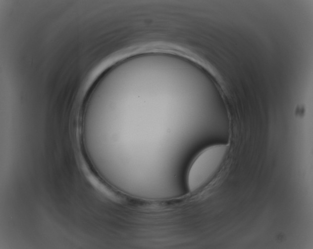 X0000093381515200710111337