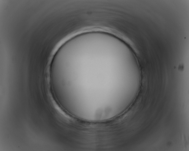 X0000093381516200710111337