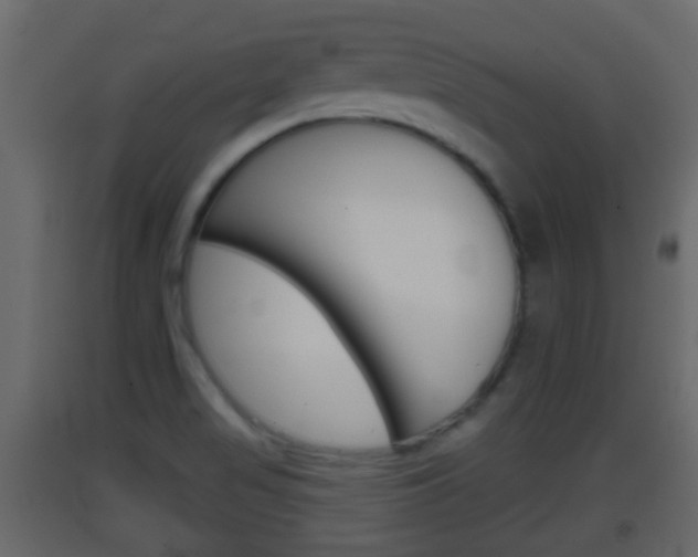 X0000093381517200710111337