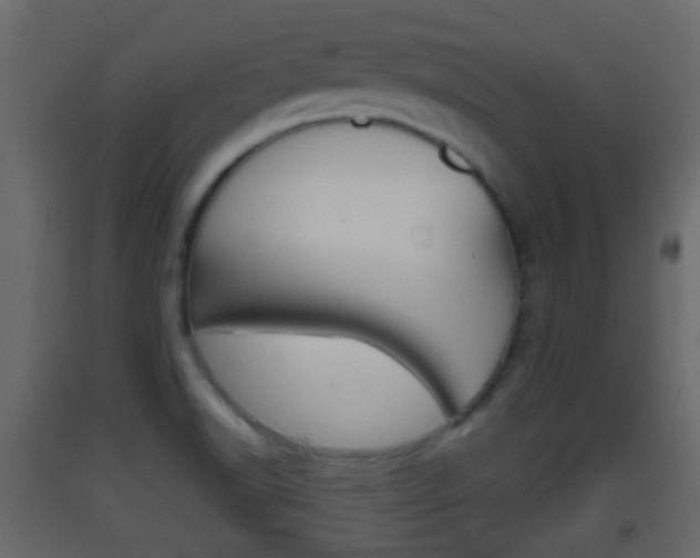 X0000093381518200710111337