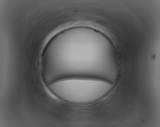 X0000093381519200710111337