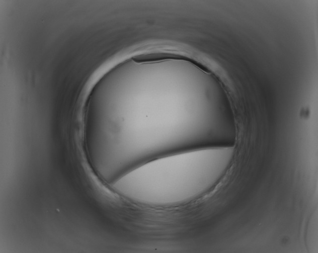 X0000093381520200710111337