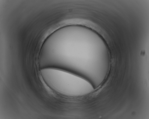 X0000093381521200710111337
