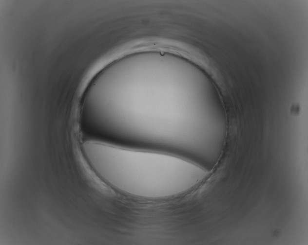X0000093381522200710111337