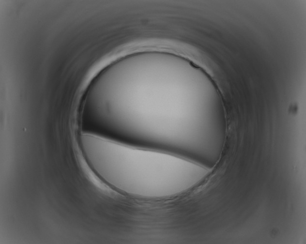 X0000093381523200710111337