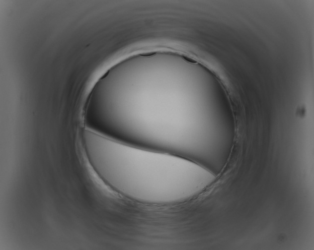 X0000093381524200710111337